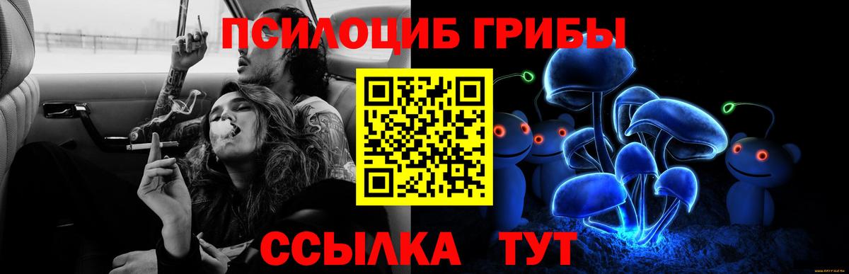 Щёлково  Галлюциногенные грибы Psilocybe  Псилоцибиновые грибы Psilocybine cubensis  Вход с VPN 