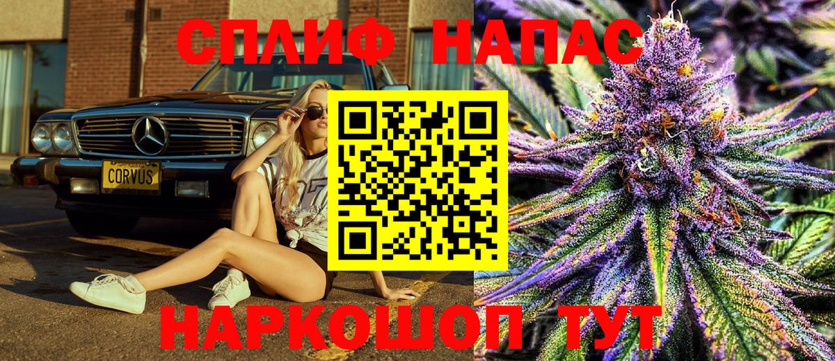 Бошки Шишки VHQ Щёлково